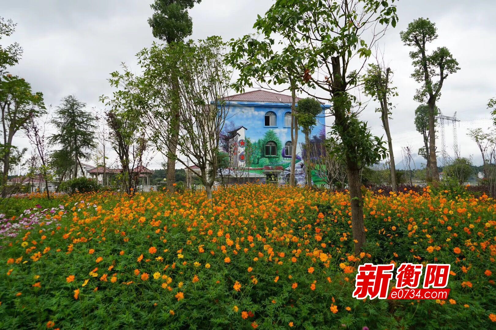 南岳区入围湖南省美丽乡村建设先进县市区名单