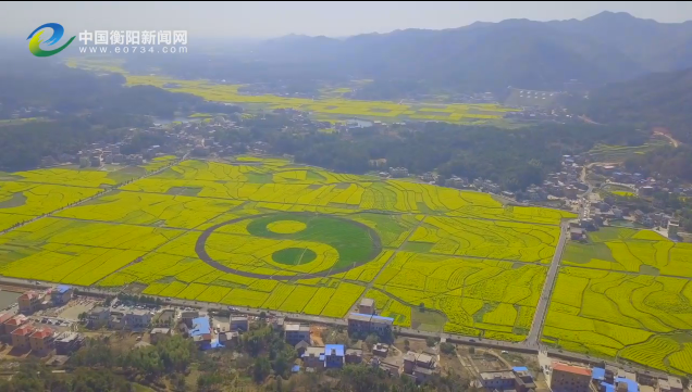 衡阳县库宗桥油菜花,一起去邂逅最撩人的春天.