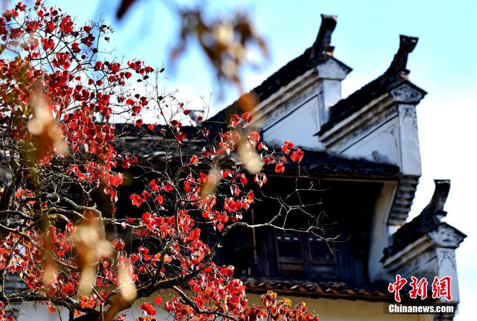 10月30日,深秋时节的江南古村景色动人.