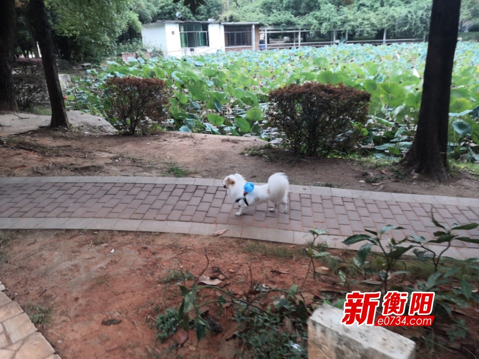 20191007180314480.jpeg