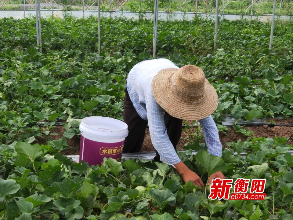 新闻图片 \