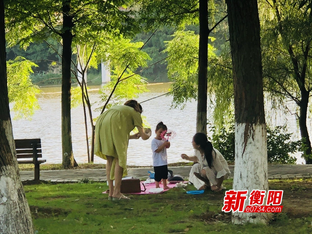 向不文明行为说"不":一组南湖公园游客的"任性"合集
