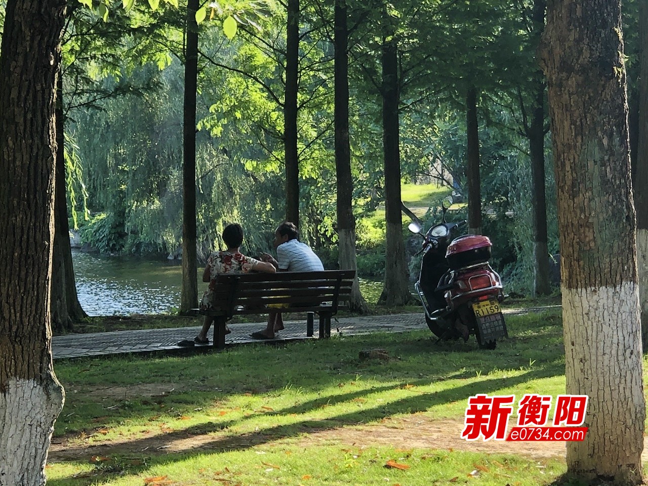 向不文明行为说"不":一组南湖公园游客的"任性"合集
