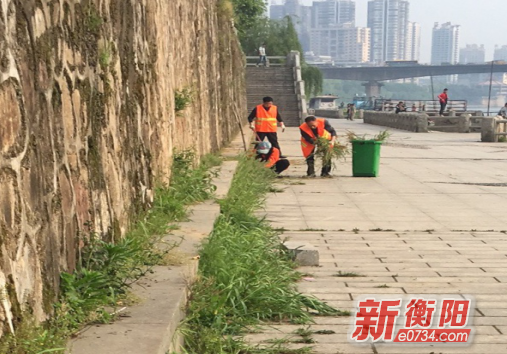 中国衡阳新闻网 www.e0734.com