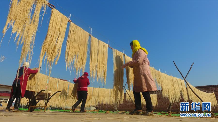 1月17日，茌平县贾寨镇李楼村的村民在晾晒地瓜粉条。 春节临近，山东省聊城市茌平县贾寨镇当地农户忙着加工晾晒地瓜粉条，供应节日市场。 新华社发（赵玉国 摄）