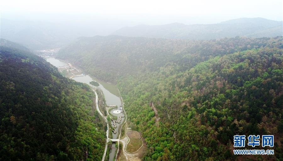 烟雨笼罩中的陕西黄陵国家森林公园（4月28日无人机拍摄）。 新华社记者 刘潇摄