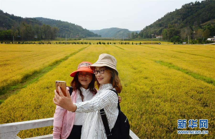 两名外地游客在陕西延安南泥湾的稻田旁留影（2018年9月12日摄）。新华社记者 刘潇摄