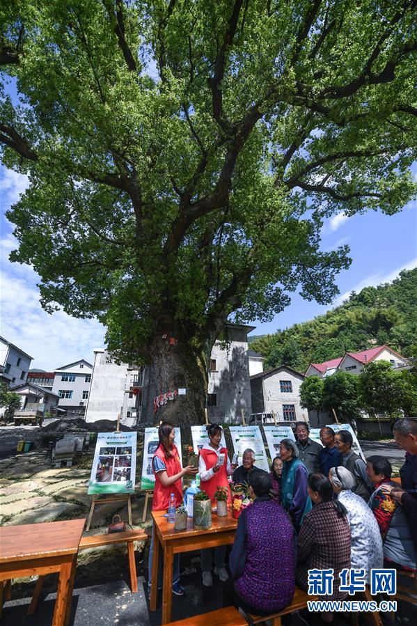 5月7日，湍口镇迎丰村的党员志愿者在“乡村流动课堂”上给村民普及垃圾分类知识。 浙江省杭州市临安区湍口镇是浙西的旅游小镇。近年来，湍口镇在发展乡村全域旅游、提升乡村环境的过程中，组建了一支以基层青年党员为主的“乡村流动课堂”服务队，用通俗易懂的宣讲方式，提升乡村百姓的环保意识、旅游服务意识等，共建美好家园，助力乡村振兴和乡村旅游。 新华社记者 徐昱 摄