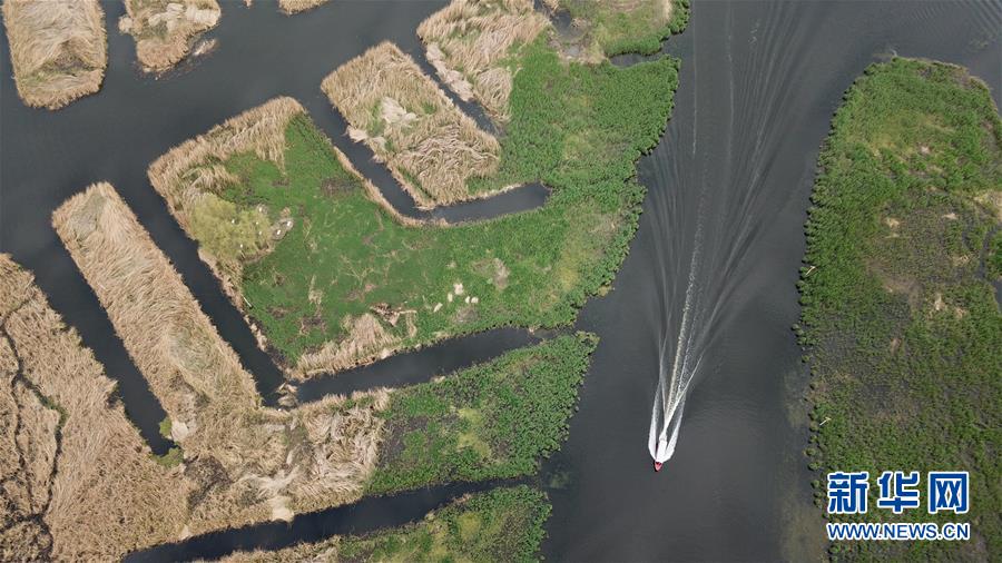 这是4月25日无人机拍摄的雄安新区白洋淀。