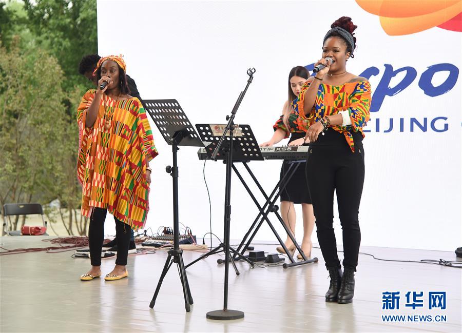 5月15日，艺人在“乍得国家日”活动中表演。