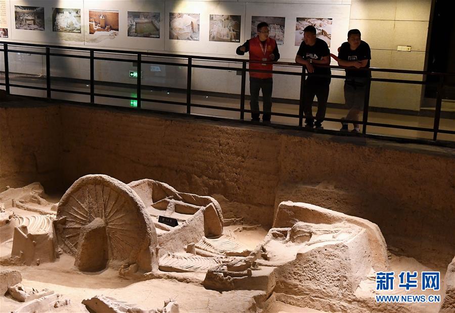 博物馆志愿讲解员在洛阳周王城天子驾六博物馆内为参观者讲解。