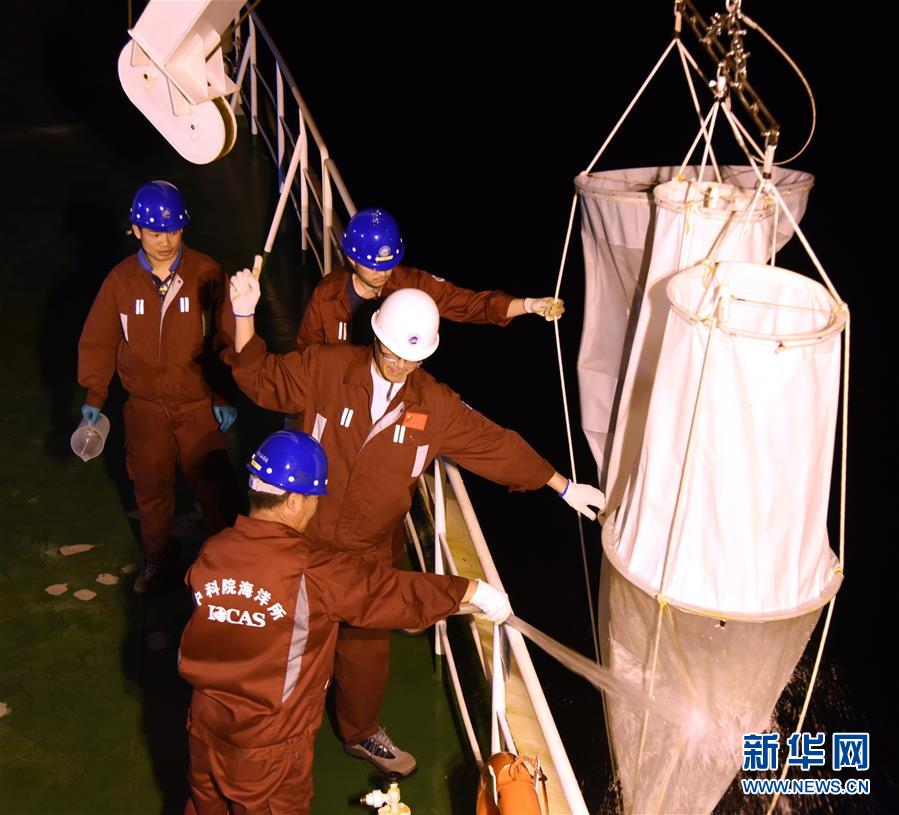 科考队员在“科学”号前甲板进行垂直拖网作业。