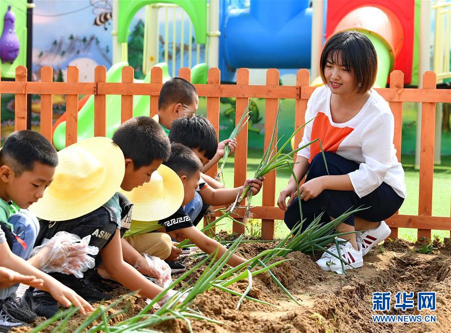 6月17日，乐亭县大相各庄乡幼儿园老师在劳动实践基地的小菜园里教孩子们栽种大葱。