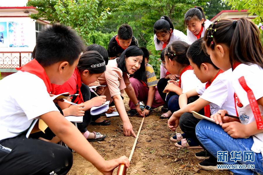 6月17日，乐亭县汀流河镇杨各庄小学的老师在校园劳动实践基地内为学生讲解土地丈量知识。