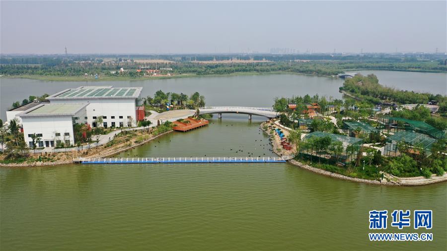 这是无人机拍摄的天津市南湖·绿博园景区一景。