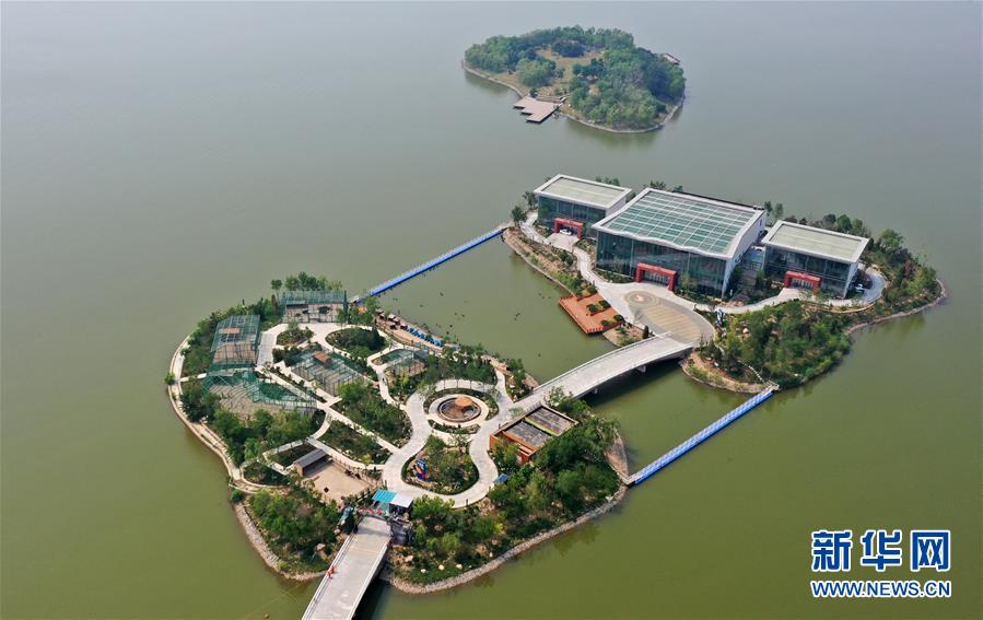 这是无人机拍摄的天津市南湖·绿博园景区一景。
