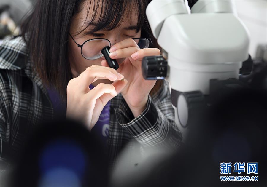 在长安大学珠宝鉴定实验室，地质学专业宝玉石学与珠宝鉴定方向的学生在观测样本。