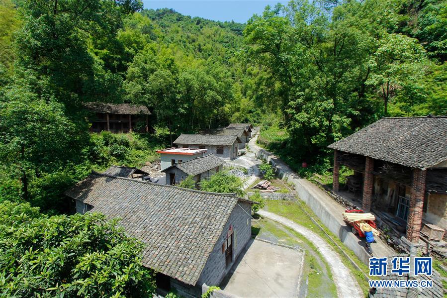 5月22日，在隆回县滩头镇桃林村烟冲古纸作坊，李秋桂和父亲李志军将砍伐的“白料”运送到作坊后的料凼。