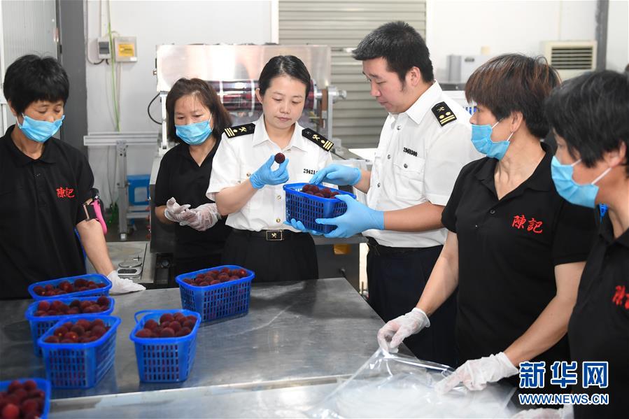6月27日，台州海关工作人员在仙居县东坑杨梅交易市场对准备出口的杨梅进行查验。