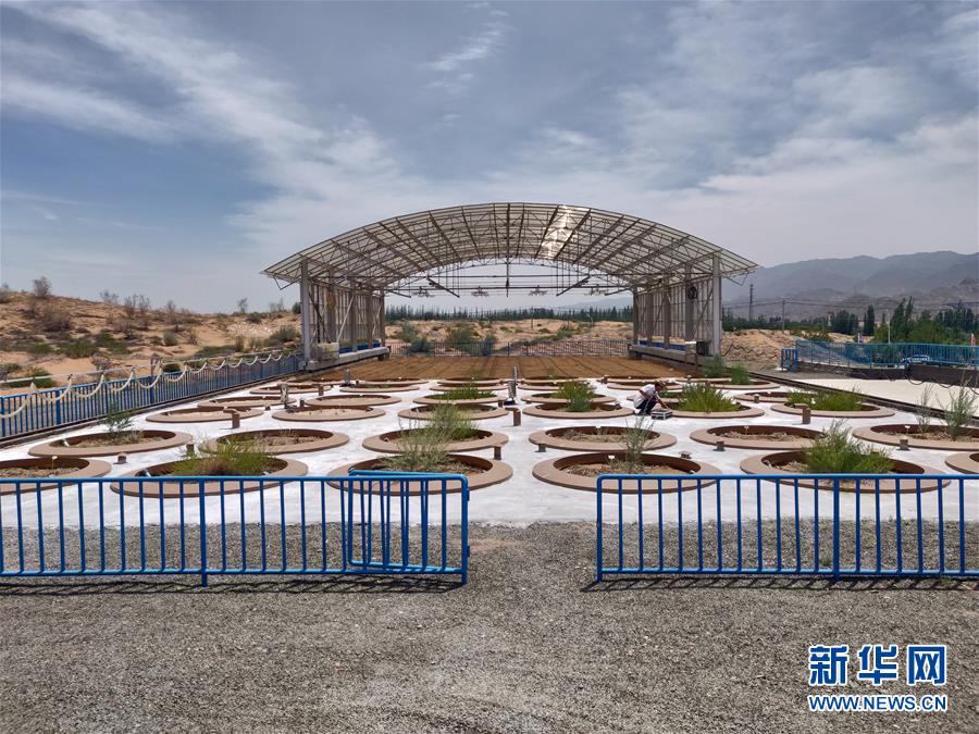 7月3日拍摄的中国北方沙区水量平衡自动模拟监测系统—蒸渗仪群。