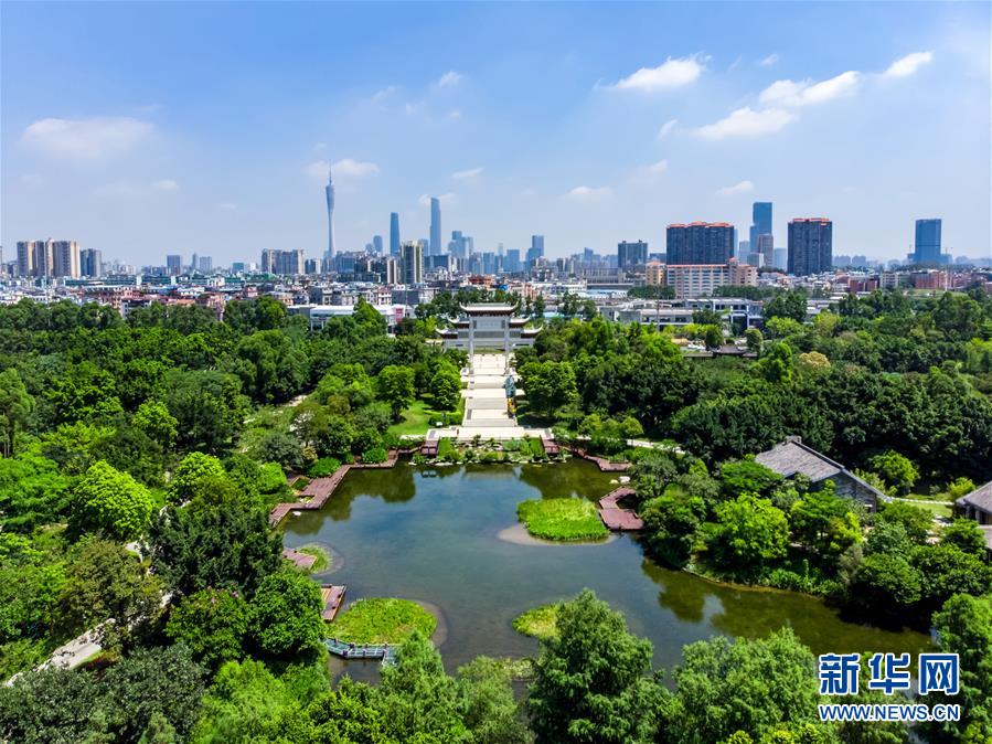 这是广州海珠湿地一角（2018年5月28日无人机拍摄）。