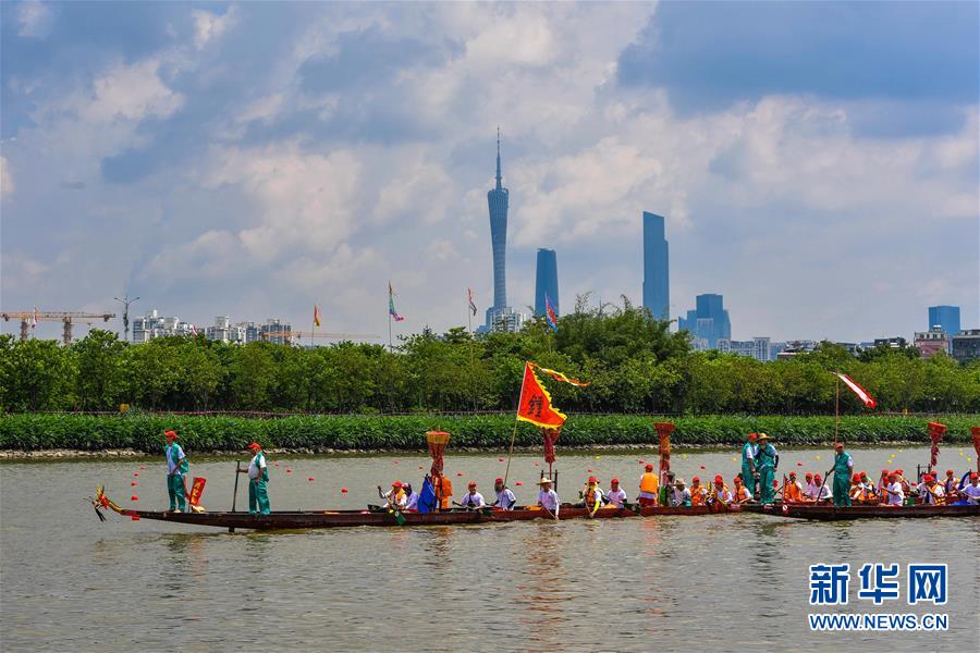 广州海珠湿地的端午龙舟（6月6日摄）。