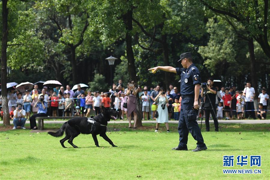 7月18日，警犬在表演警犬服从。