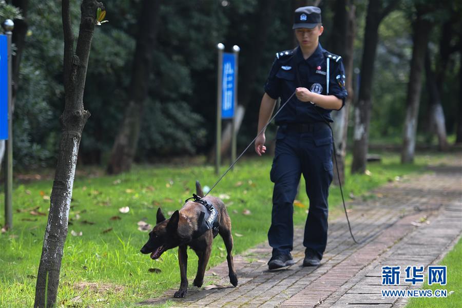 7月18日，警犬在表演警犬追踪。
