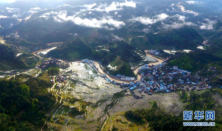 这是广西融水苗族自治县杆洞乡杆洞村的梯田（4月16日无人机拍摄）。