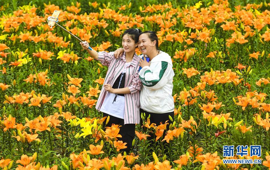 8月8日，游客在伊春市九峰山养心谷景区拍照留念。