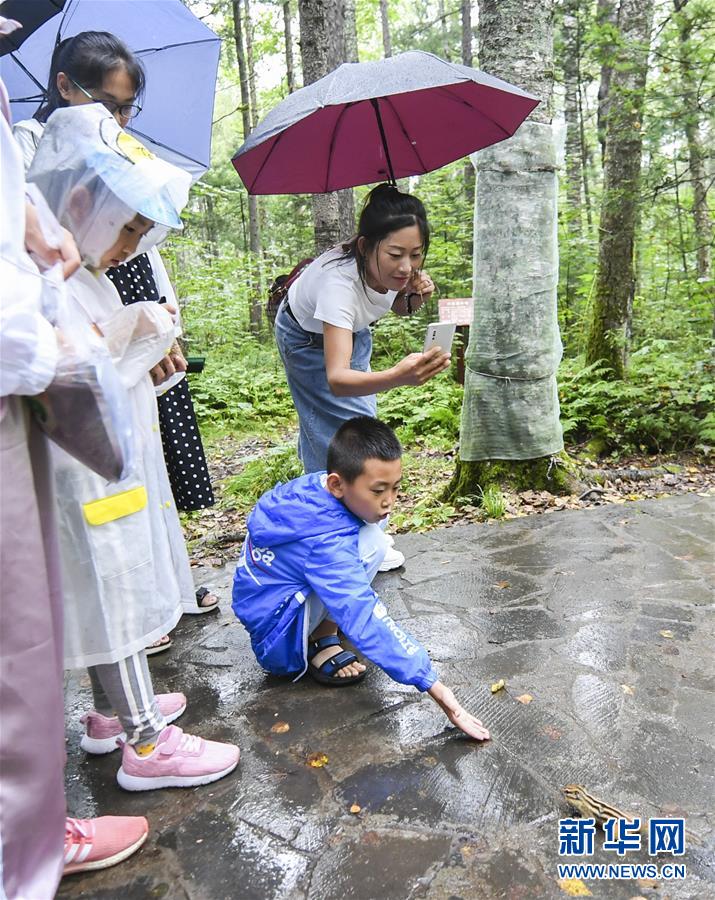 8月7日，游客在伊春市汤旺河国家公园与小松鼠嬉戏。