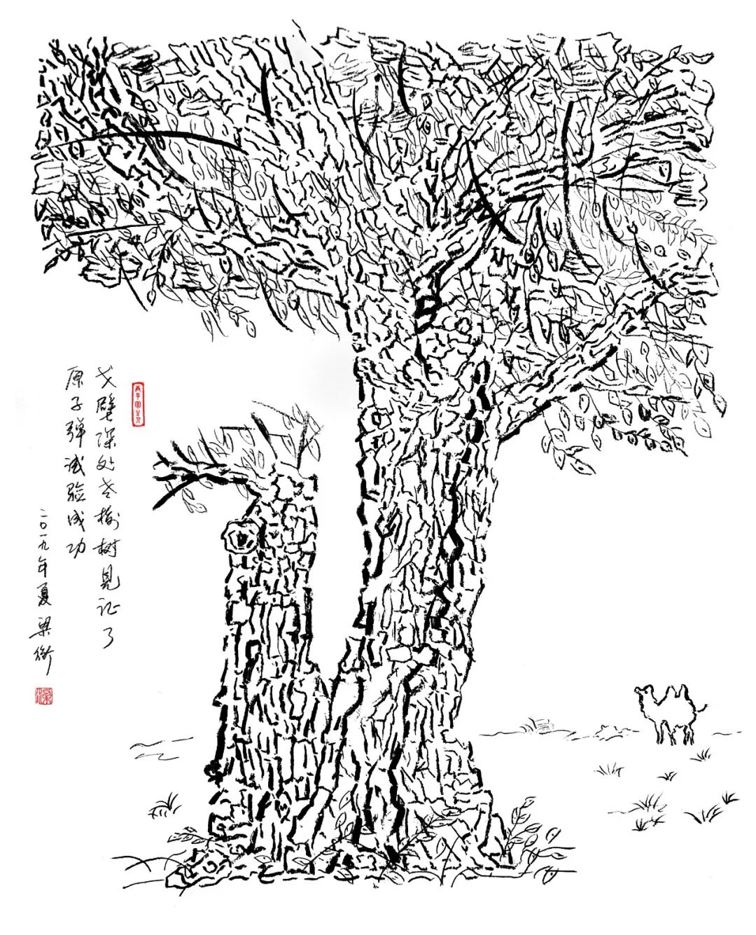 如何画好一棵罗汉树 20190823115945254.jpeg