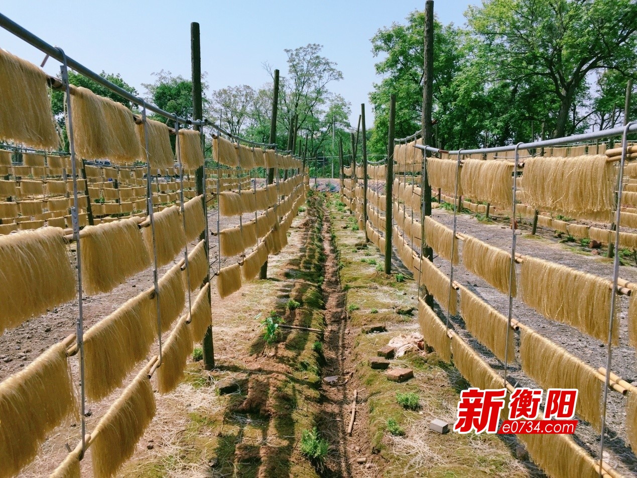 生产的红薯粉在外挂晒晾干2.jpg
