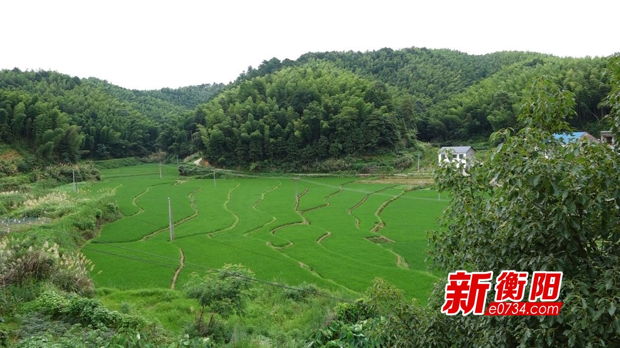 微信图片_20200717175118.jpg
